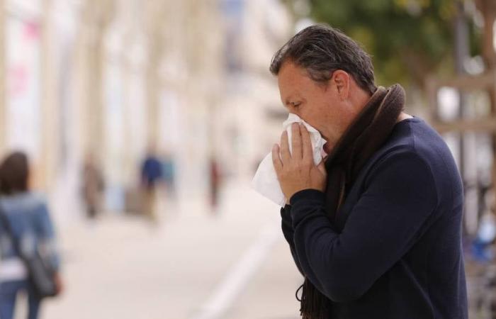 La epidemia de bronquiolitis va en aumento, la epidemia de gripe se extiende a nuevas regiones de Francia