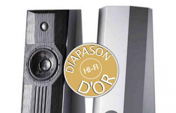 Diapason d’or 2023: Altavoces GRYPHON EOS 2