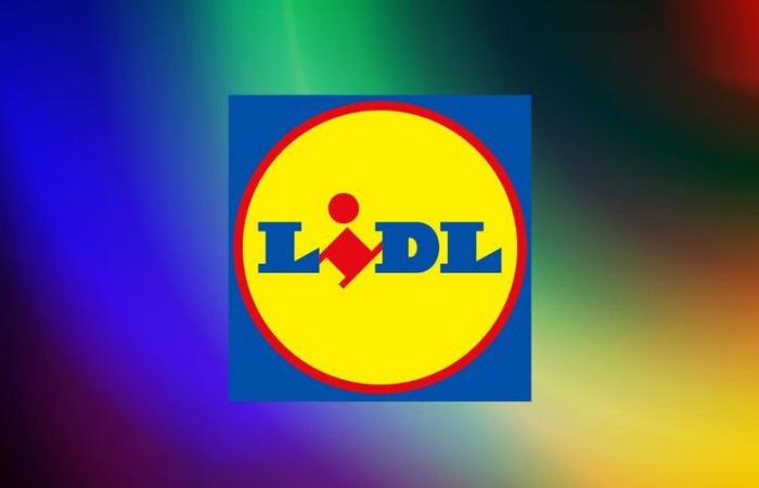 Elegido mejor producto de Lidl: este trapeador a vapor ve caer su precio por un corto tiempo