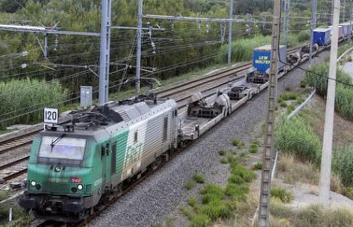 Los empleados de SNCF explican su huelga contra el desmantelamiento de la filial de transporte de mercancías