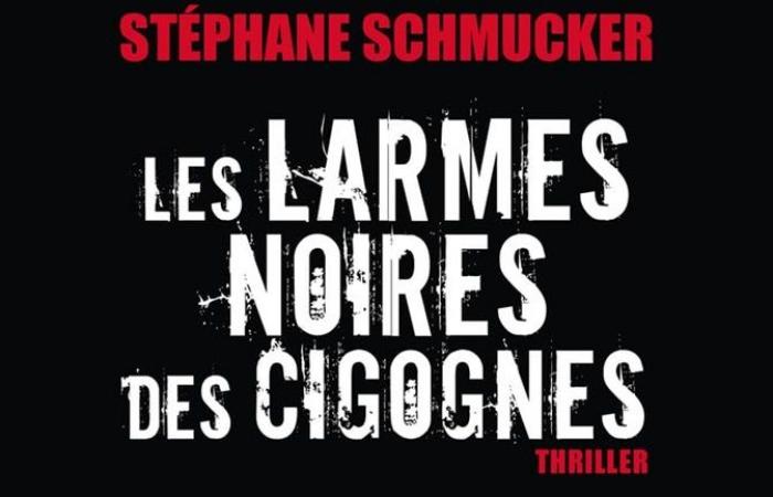 [Critique Livre] Las lágrimas negras de las cigüeñas