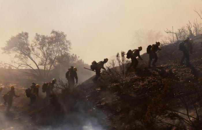 Dick Van Dyke, Cher, Mira Sorvino… Las estrellas abandonan Malibú tras el incendio que asola la ciudad