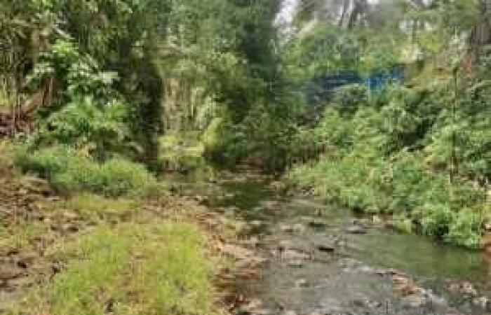 El río Bouyouni vuelve a ser verde gracias a Bestlife 2030