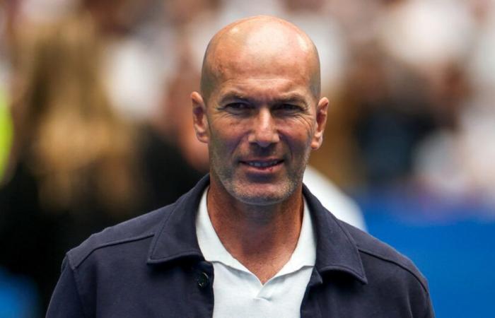 Zinedine Zidane ya no está solo