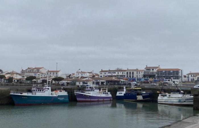 En Vendée, funcionarios electos satisfechos, pescadores que señalan un sistema que está perdiendo fuerza.