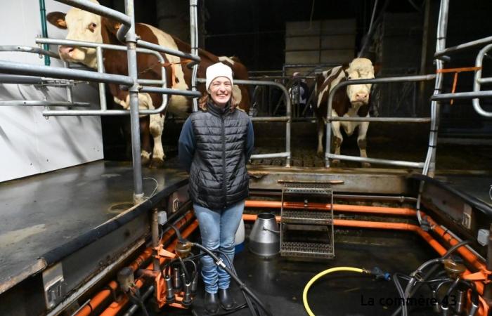 Seis veces menos productores de leche en Alto Loira en cuarenta años