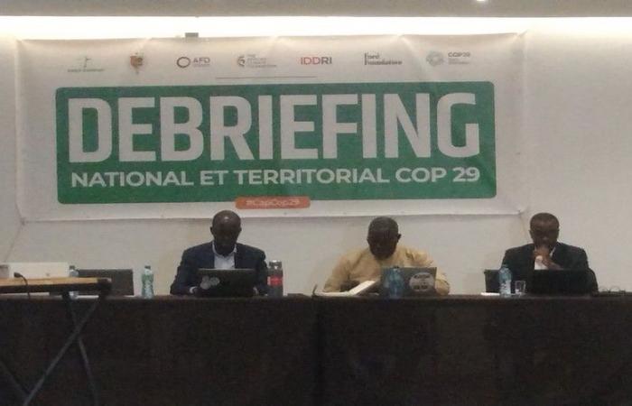 COP29: La decepción de los resultados, los desafíos por delante y la voz de Senegal en las negociaciones climáticas – VivAfrik