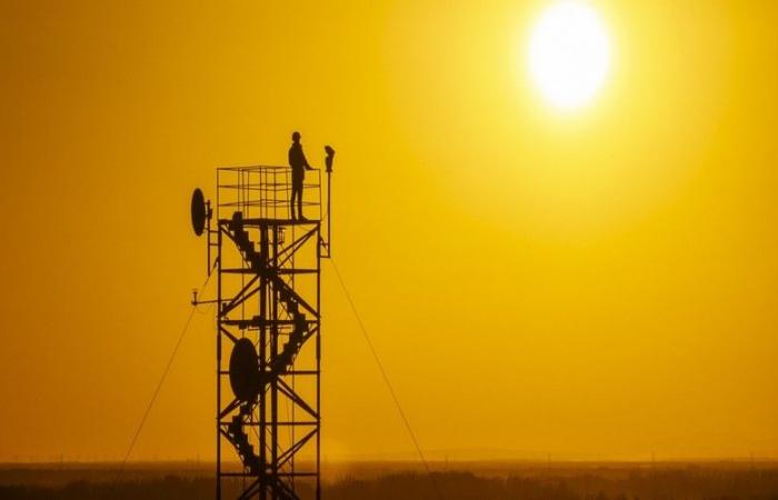 Los premios Campeones de la Tierra 2024 del PNUMA reconocen a seis líderes ambientales destacados – VivAfrik