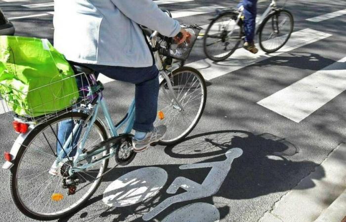 PRUEBA. ¿Qué tan bien conoces el Código de Circulación de Bicicletas?