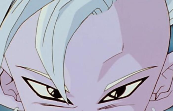 Elimina 3 personajes de Dragon Ball, adivinaremos tu edad