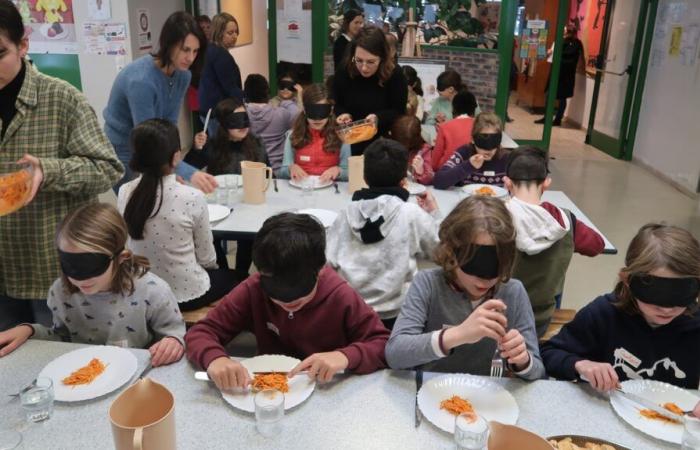 conciencia con un almuerzo a ciegas