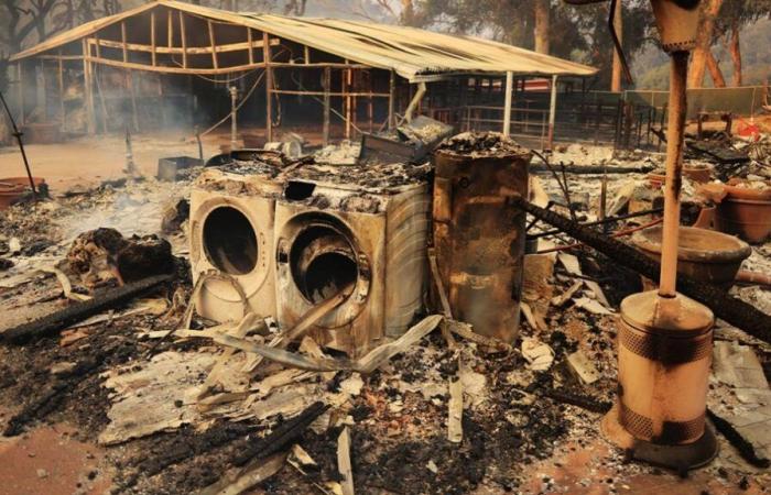 “Escuchamos gritos”: miles de personas evacuadas de Malibú, ciudad y playa de las estrellas estadounidenses, a causa de un incendio