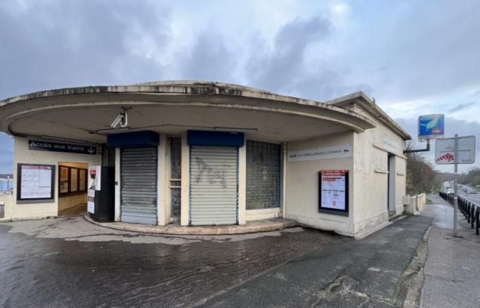 “Inútiles”, “espeluznantes”, “gente rara”… Bienvenidos a la estación de RER A menos transitada