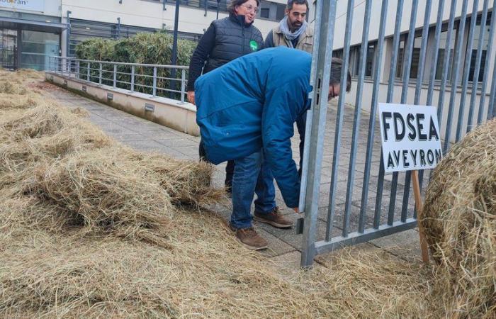 La ira de los agricultores: PAC, Mercosur, ataques de lobos y buitres, la FDSEA y la JA de Aveyron se escuchan (de nuevo)