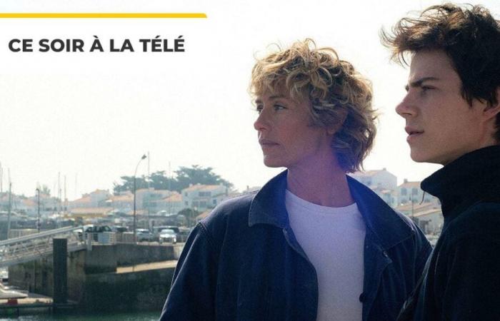 Esta noche en la televisión: aquí hay una sublime historia de amor con Cécile de France – Cine Noticias