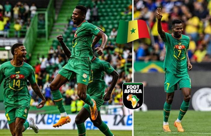 Nuevo seleccionador de Senegal… ¡el anuncio de la FSF no debería tardar mucho!