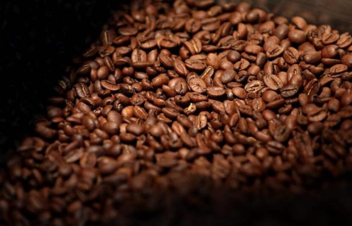 El café de la mañana puede costarle más gracias al aumento de los precios del Arábica