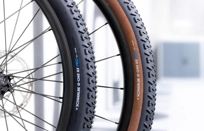 Schwalbe G-One RX Pro: un neumático gravel para rodar rápido en invierno ⋆ Vojo