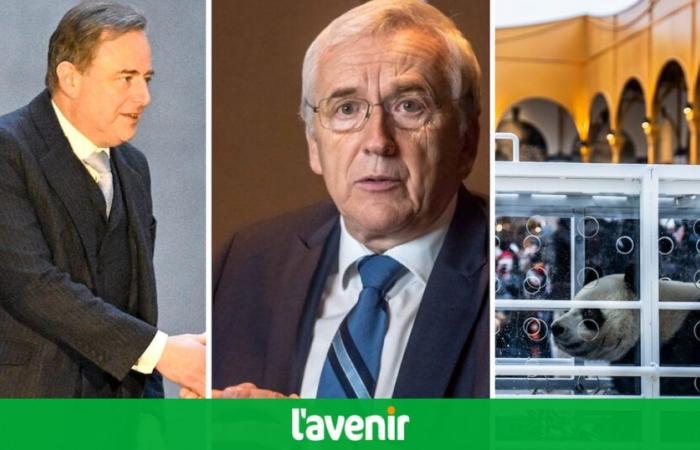 Informe del día: De Wever ampliado como entrenador | Attert: Ha muerto Josy Arens | Los 3 pandas se despiden de Pairi Daiza