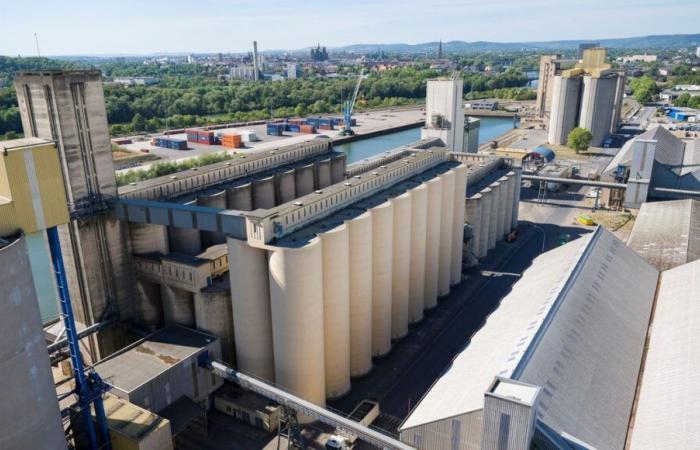 Paralización del tráfico fluvial en el Mosela: “Nunca antes se había visto”, el puerto de Metz espera una caída de actividad de “entre un 50 y un 80%”