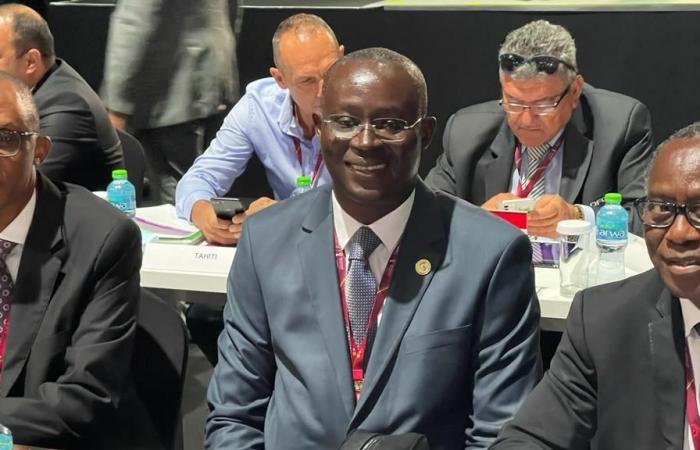 Sucesión de Aliou Cissé: Me Senghor despide a Habib Bèye y Omar Daf