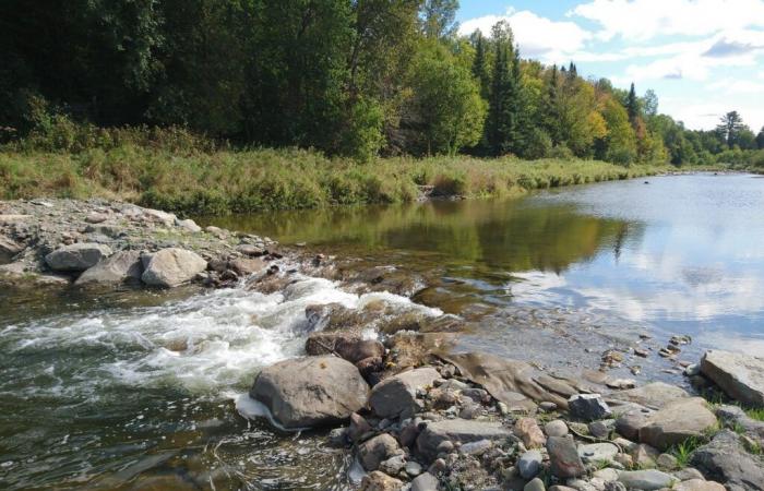 Nicolet se convierte en socia de la Cátedra Municipal de Investigación en Gestión Sostenible del Agua