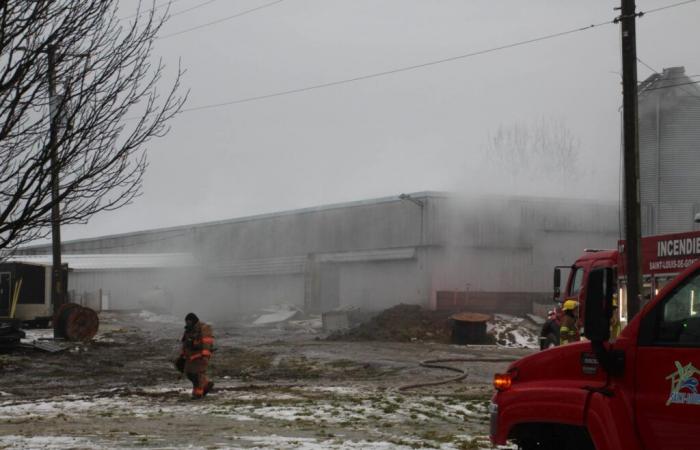 El Diario Saint-François | Incendio en una pocilga en Saint-Louis-de-Gonzague