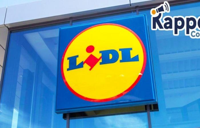 Lidl lanza a finales de año una retirada masiva urgente en toda Francia de este producto francés estrella