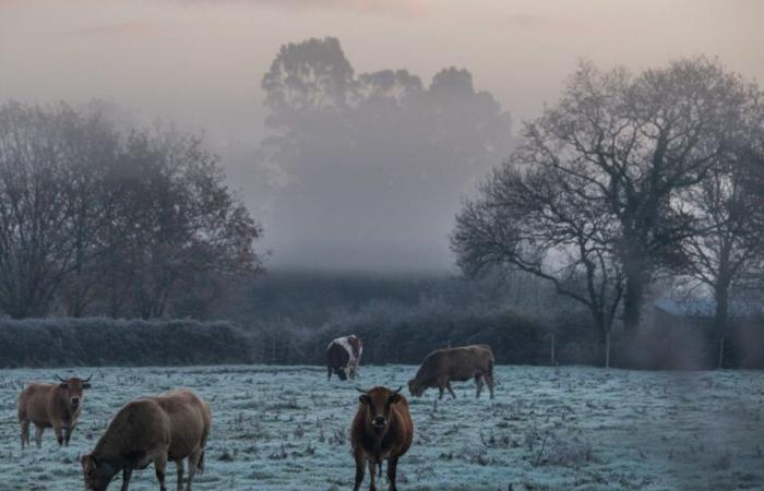 El frío se instala en Francia para el fin de semana, este viernes será el día más fresco