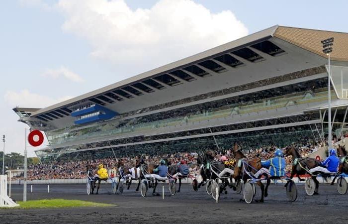 Predicciones de carreras de caballos para el viernes 13 de diciembre de 2024