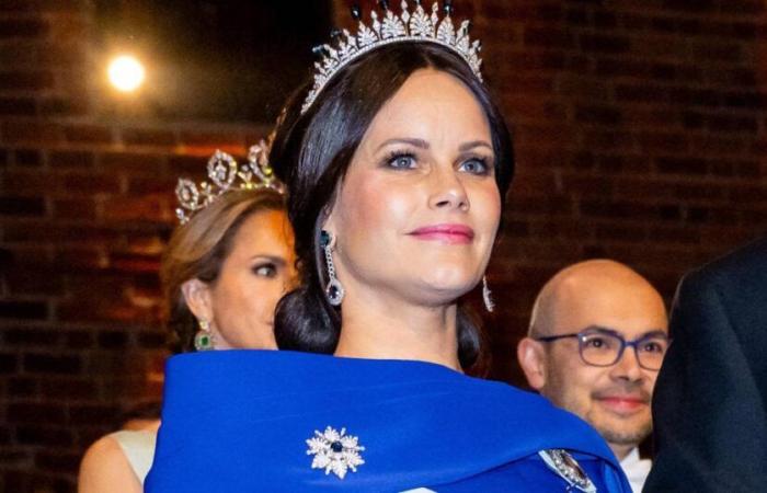 Sofía de Suecia recicla su vestido de cumpleaños para la ceremonia del Premio Nobel: la princesa deslumbra