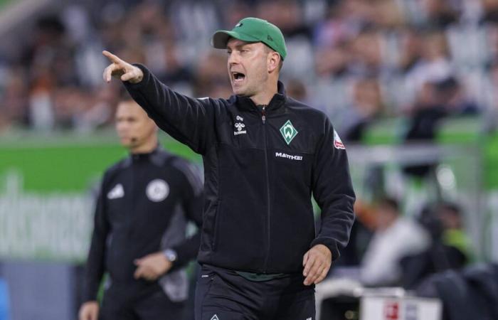 Werder Bremen: “¡No me gusta!” Werner contra los microplanes de DAZN | deporte