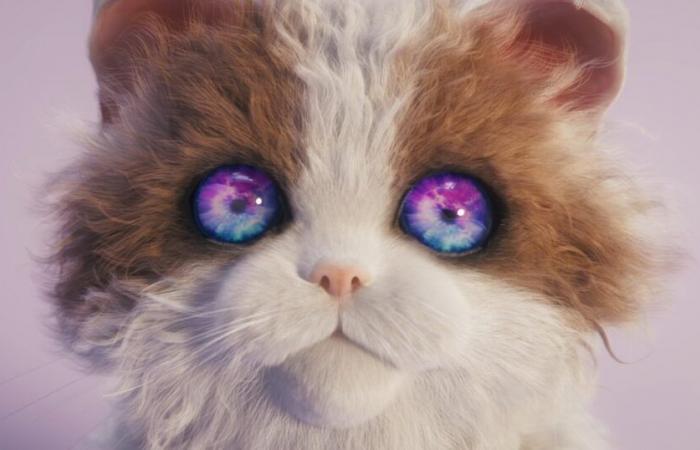 Catly promete un juego de gatos fotorrealista, pero su tecnología es un misterio