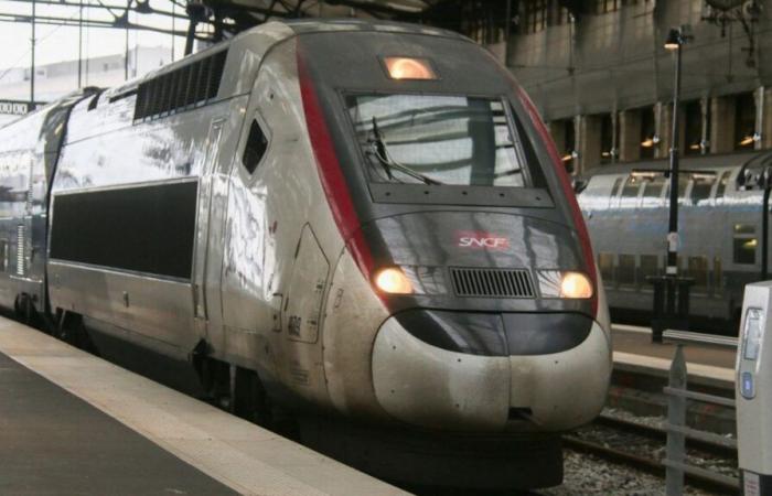 “Los trenes circularán en Navidad”, afirma el ministro de Transportes dimitido