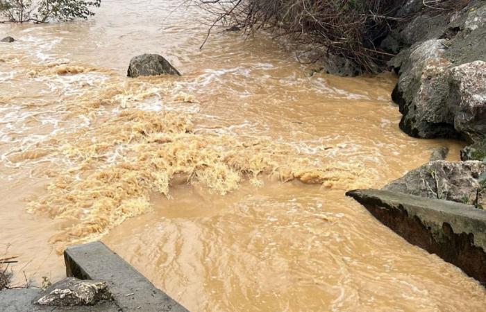 Las lluvias se intensificarán en los Pirineos Orientales: este río podría desbordarse