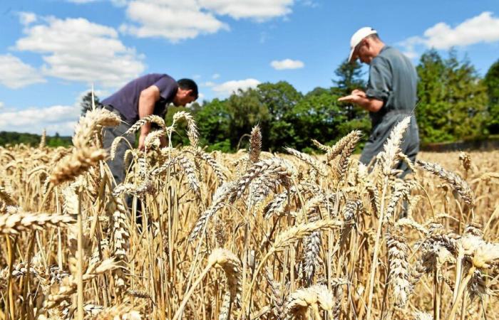 Una mayoría de agricultores dispuestos a comprometerse con el medio ambiente, pero no sin condiciones