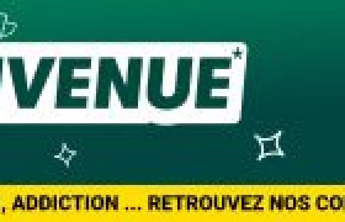 Quinté+: Quinté+ a partir del viernes 13 de diciembre en Vincennes: Hulysse Digeo tiene el tamaño