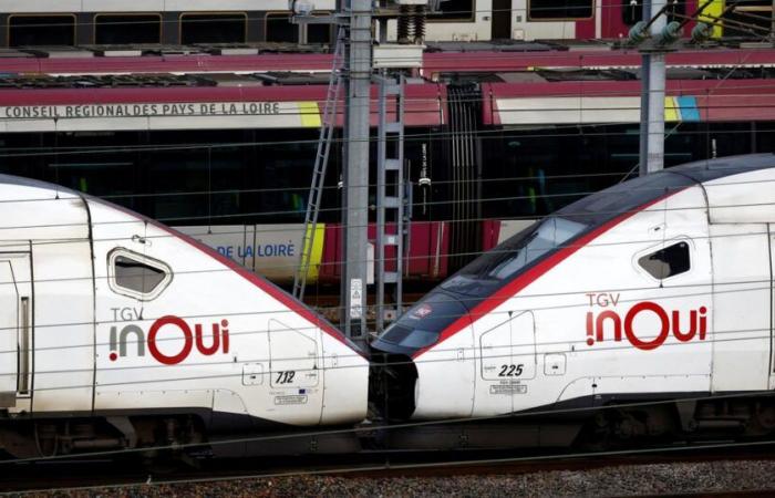 “Los trenes circularán en Navidad”, asegura el dimitido ministro de Transportes