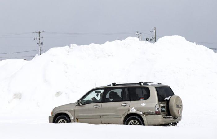 Advertencias de clima invernal para 12 estados debido a que caerán 17 pulgadas de nieve