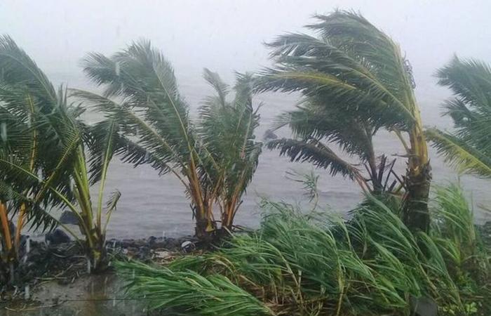 Se espera que el ciclón Chido llegue a Mayotte alrededor de las 7:30 horas de este sábado por la mañana.