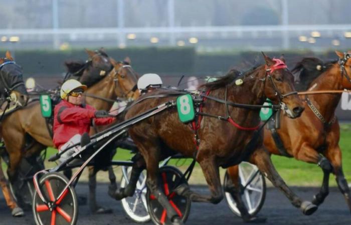 dos grandes ganadores en Guadalupe y uno en Martinica