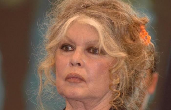 Brigitte Bardot sin televisión ni internet tras una crisis nerviosa, se enoja: “Me parece escandaloso”