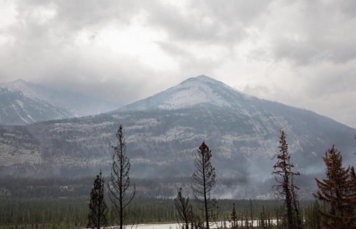 Incendios forestales en Canadá vinculados a un aumento de visitas médicas en Estados Unidos