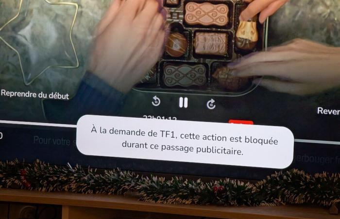 Sí, TF1 ahora le impide omitir páginas de publicidad televisiva a través de su caja de Internet.