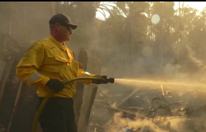 Miles de evacuados regresan a sus hogares en medio del incendio de Malibu Franklin – Telemundo 52