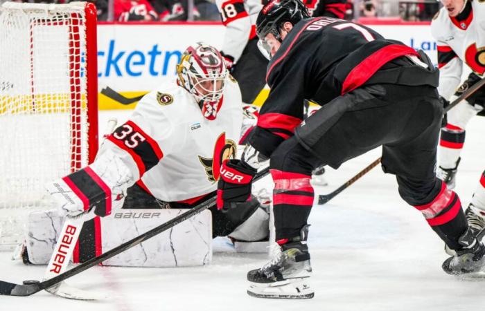 Ullmark y Pinto lideran la carga en Carolina