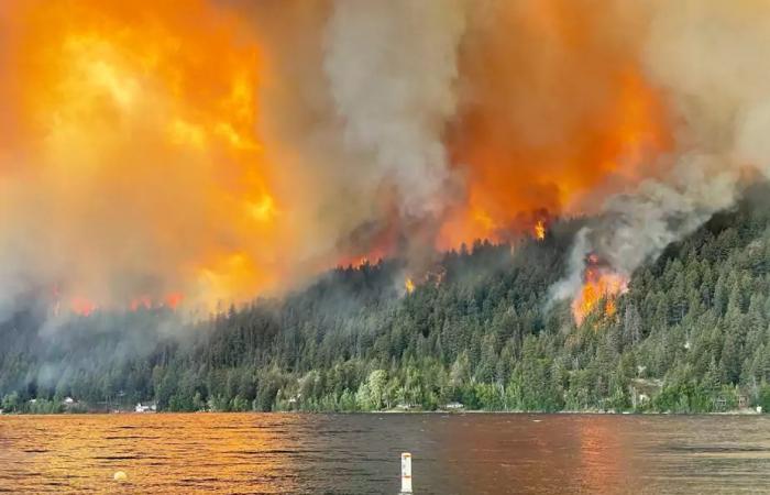 Los incendios forestales en Canadá pueden haber provocado un aumento de las visitas médicas a Estados Unidos