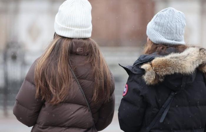 Tiempo nublado, húmedo y fresco: el pronóstico del tiempo es sombrío este fin de semana