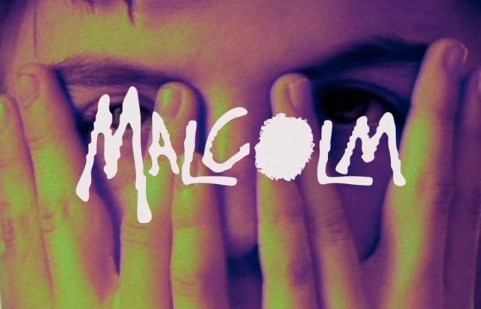 20 años después, la serie de culto “Malcolm” se prepara para regresar con parte de su elenco original