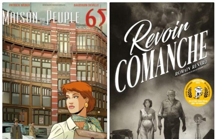 Fotos, recetas, nostalgia, fútbol, ​​Art Nouveau, SF: nuestra selección de regalo de bonitos libros, novelas y cómics 100% de Bruselas